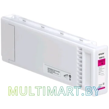 Картридж Epson C13T891300